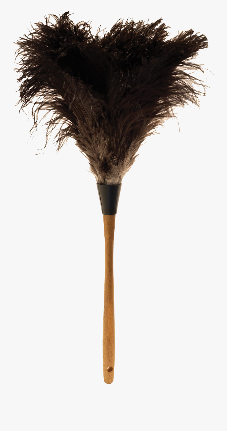 Feather Duster Png - Long Feather Duster Png, Transparent Clipart