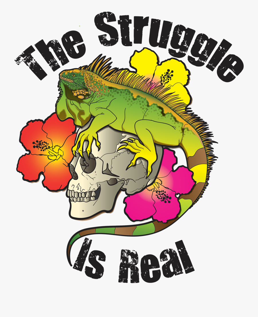 No More Smoke Signals (2010), Transparent Clipart