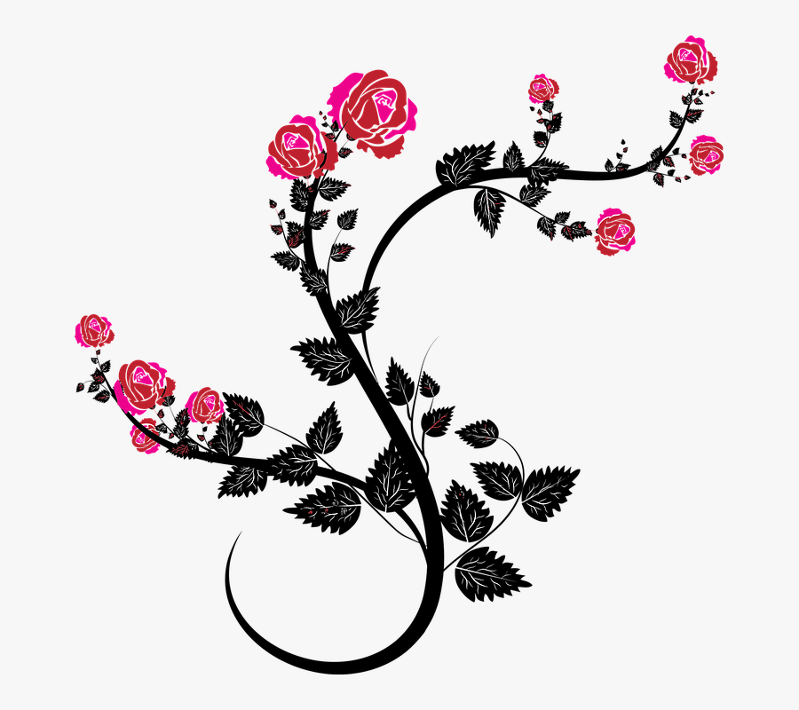 Flower Vine Climbing Clematis With Finest Ft Ⓒ - Black And Pink Roses Clipart, Transparent Clipart