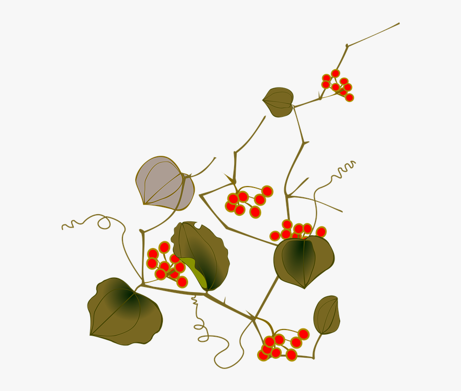 Yellow Fruit Vine Transparent, Transparent Clipart