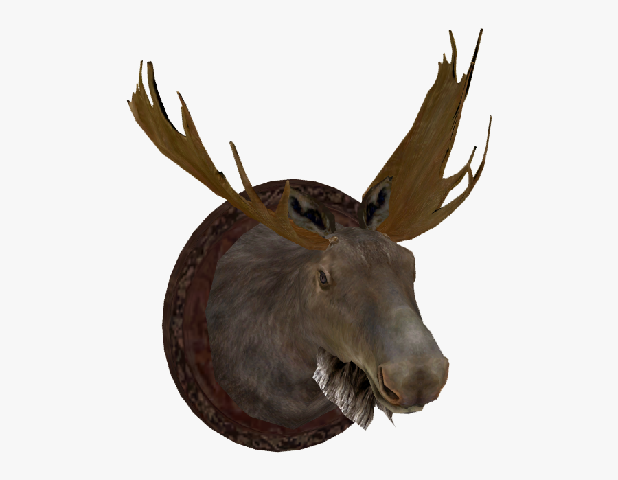 Transparent Free Moose Clipart - Elk, Transparent Clipart