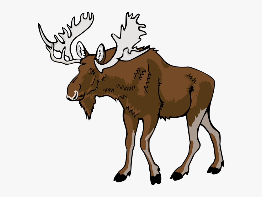 Moose Png Clipart - วาด กวาง มู ส, Transparent Clipart