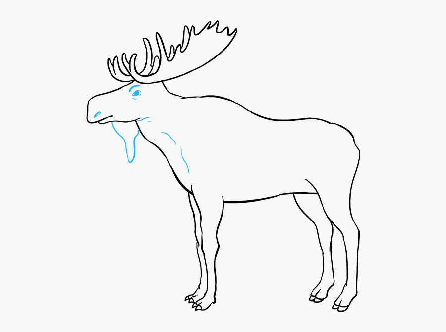 How To Draw A Moose - Line Art, Transparent Clipart