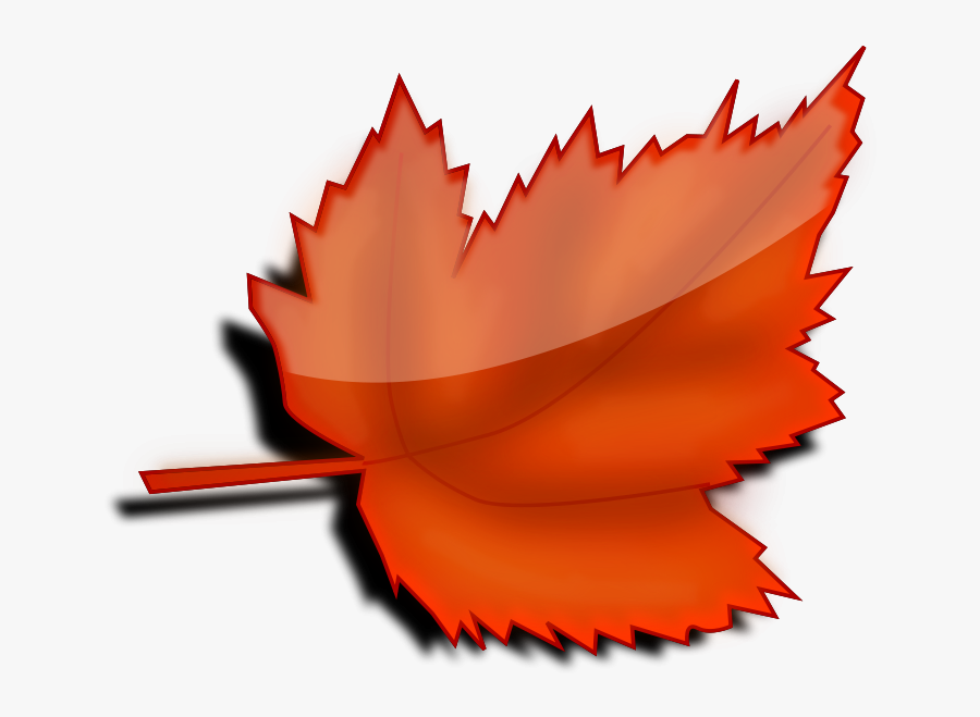 Transparent Fall Festival Clipart - Tree Leaf Clipart, Transparent Clipart