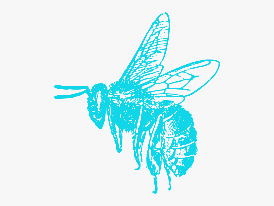 Blue Bee Svg Clip Arts - Black And White Bee Transparent, Transparent Clipart
