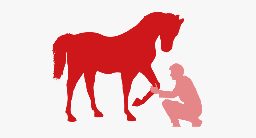Stallion, Transparent Clipart