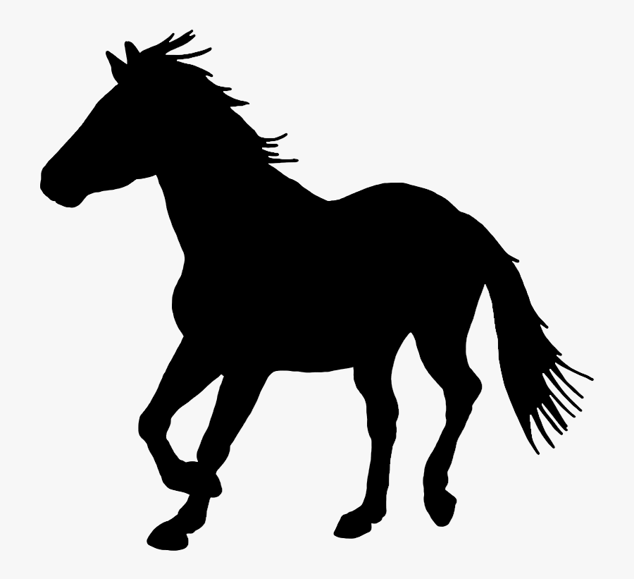 Transparent Horse Png - Black Horse Png, Transparent Clipart