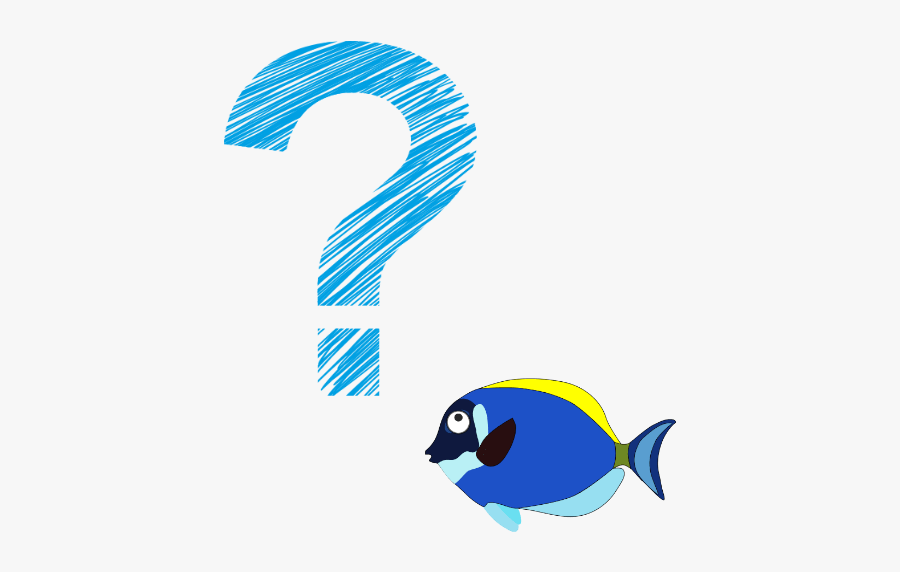 Puzzled Fish Question Mark - Blue Question Mark Png, Transparent Clipart