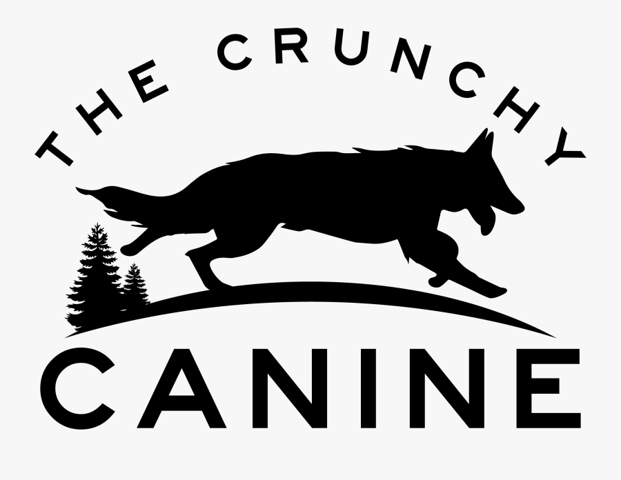Transparent Dog Obedience Clipart - Dog Catches Something, Transparent Clipart