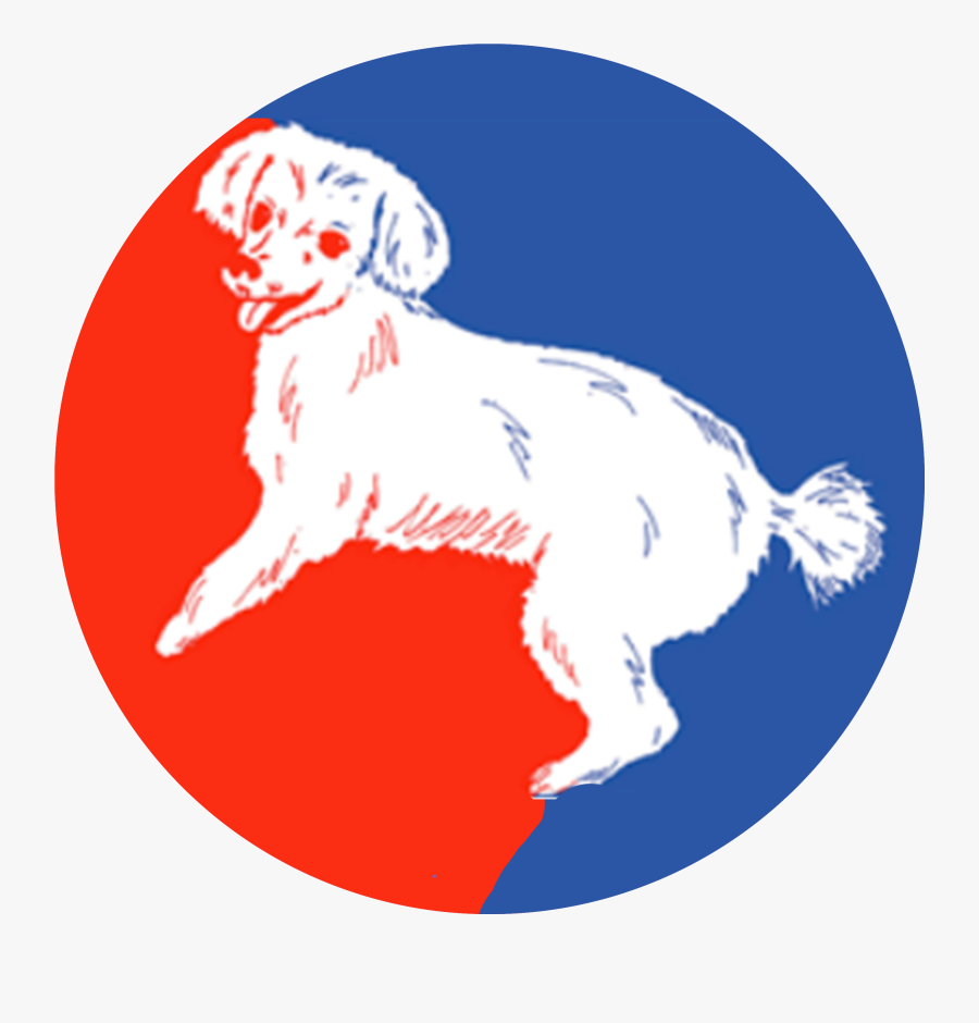 Dog Catches Something, Transparent Clipart