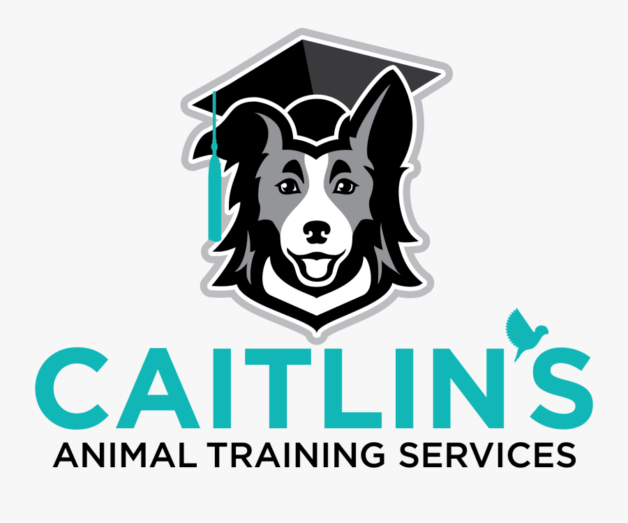 Media False Reporting, Transparent Clipart