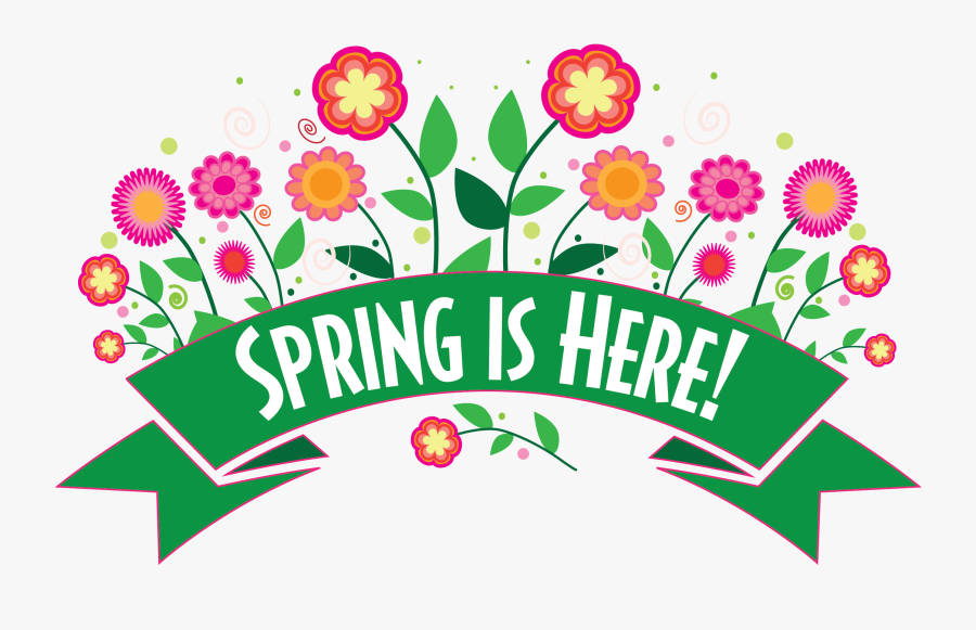 Flowers Illustrator, Transparent Clipart