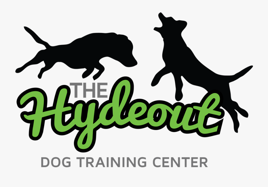 Dog Catches Something, Transparent Clipart