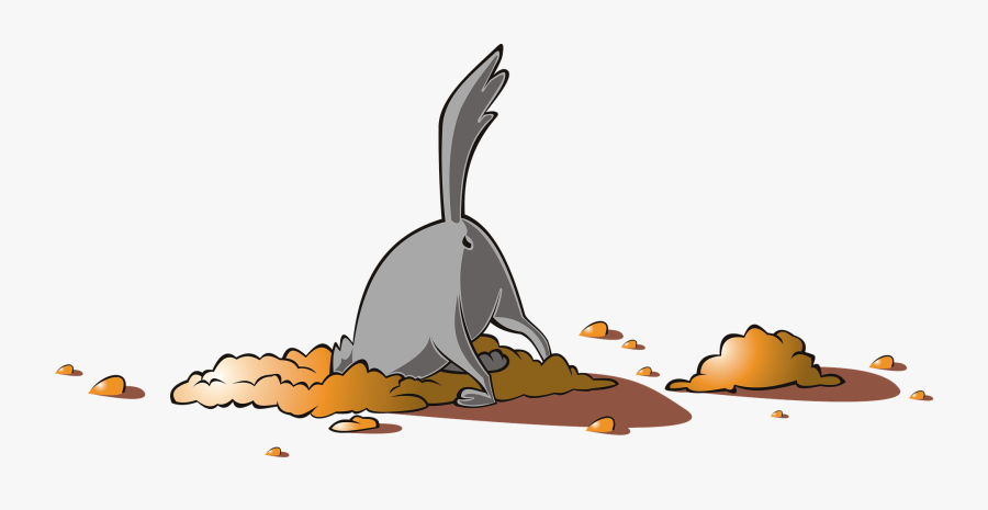 Graphic Designer Animal, Transparent Clipart