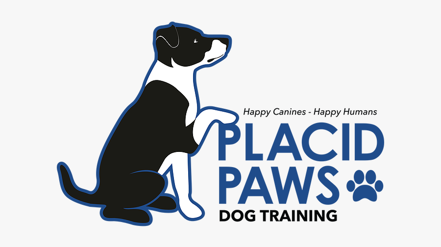 Decorating Contractors Of America, Transparent Clipart