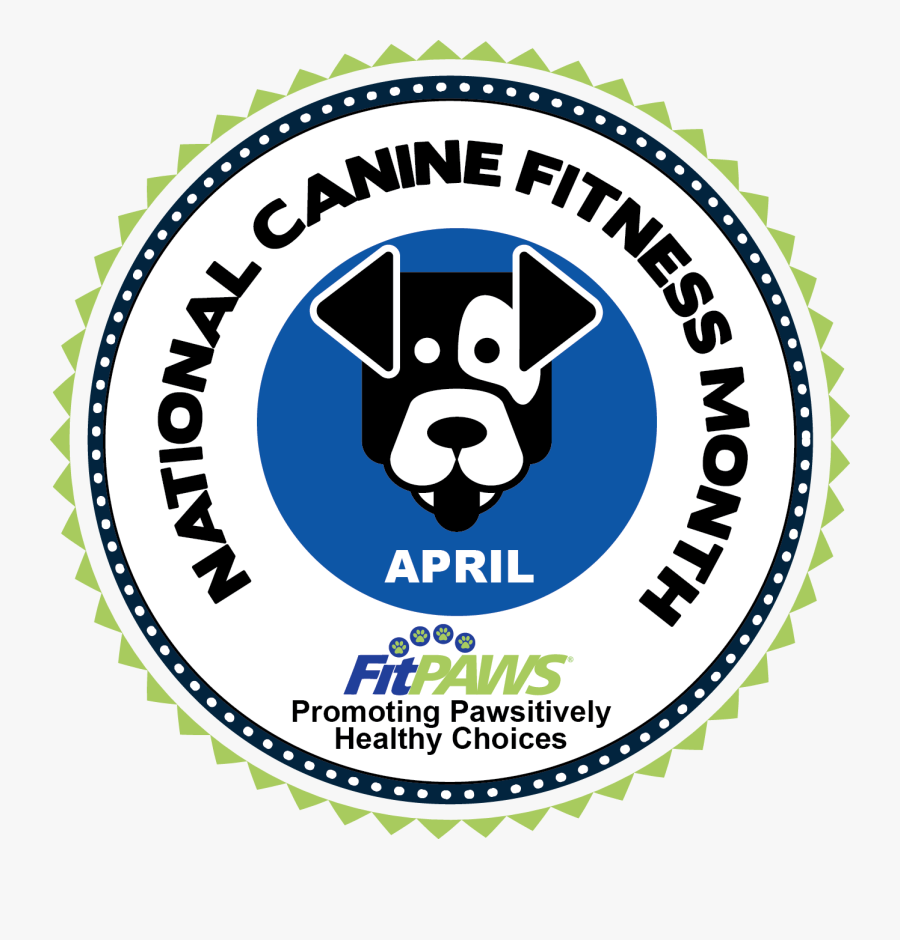 Dog Obstacle Course Infographic, Transparent Clipart