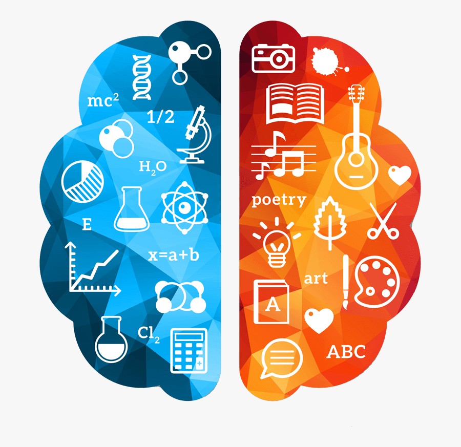 Left Right Brain Png, Transparent Clipart