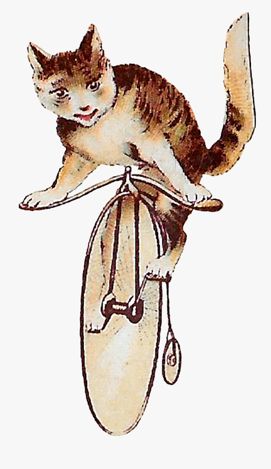 Kitten, Transparent Clipart
