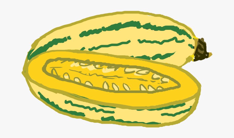 Zucchini, Transparent Clipart