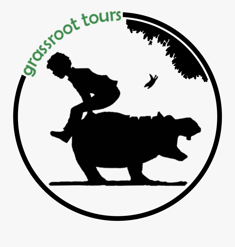 Hippo Playground, Transparent Clipart