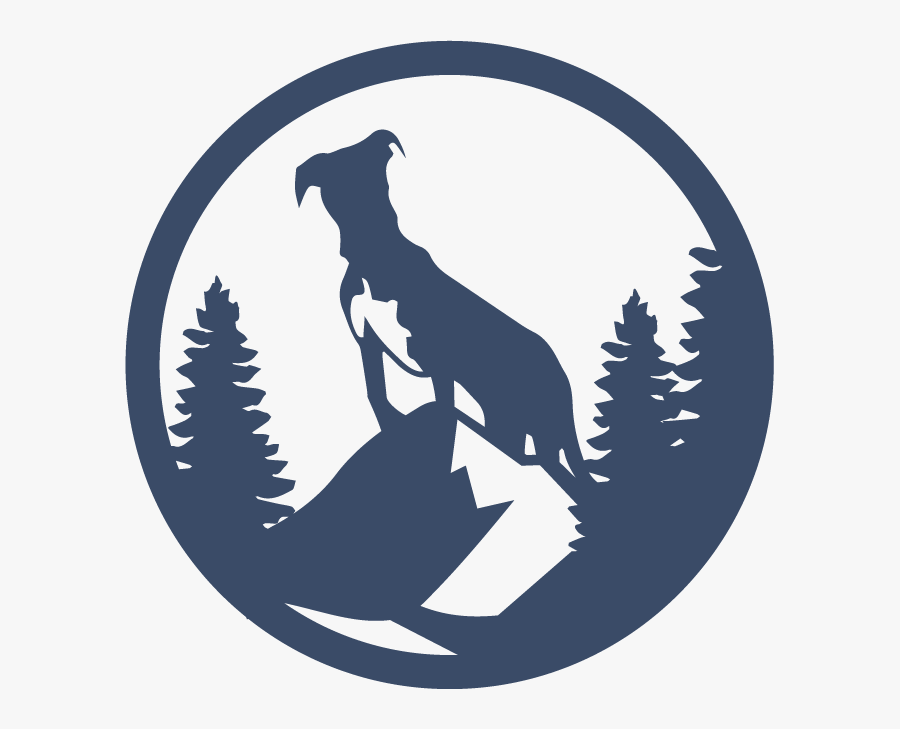 Sleeping Bag Size Guide Camping, Transparent Clipart