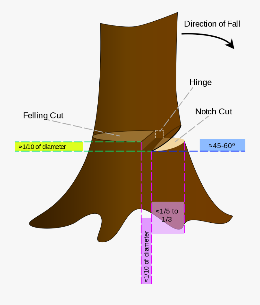 Chainsaw Down A Tree, Transparent Clipart