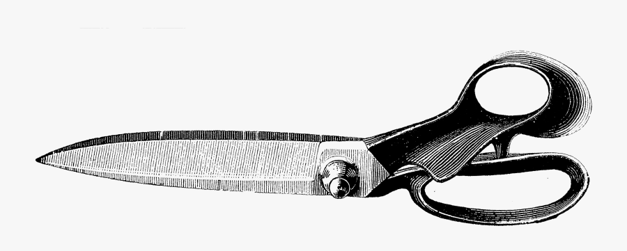 Sketch, Transparent Clipart