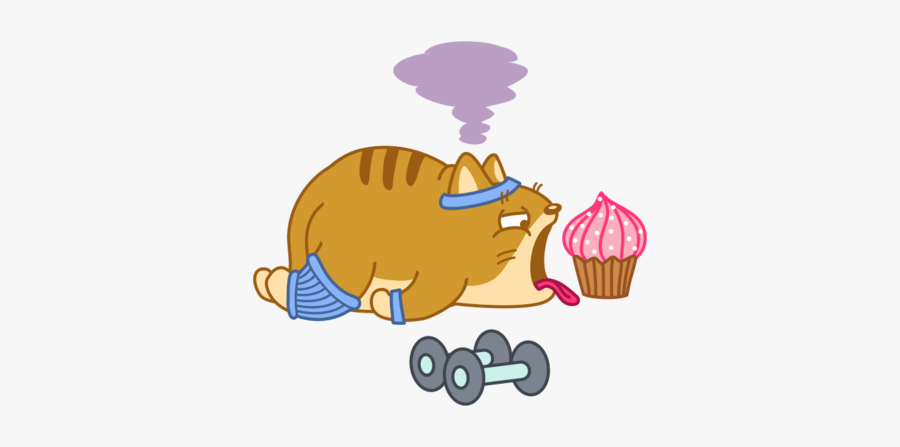 #cat #fatcat #sticker #stickers #workout #workingout, Transparent Clipart