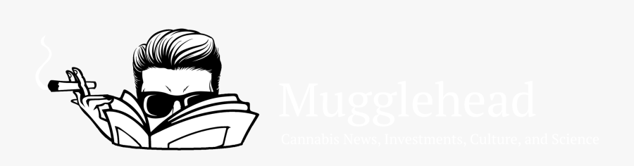 Mugglehead - Office Chair, Transparent Clipart