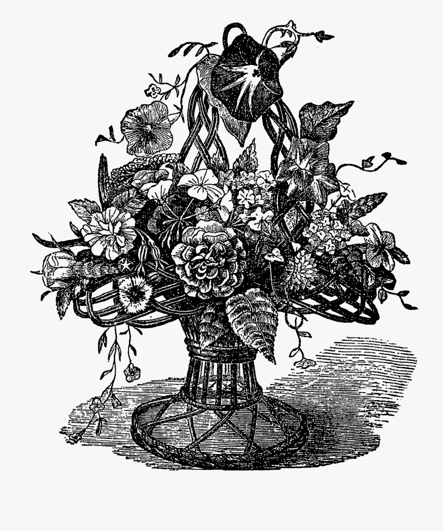 Illustration, Transparent Clipart