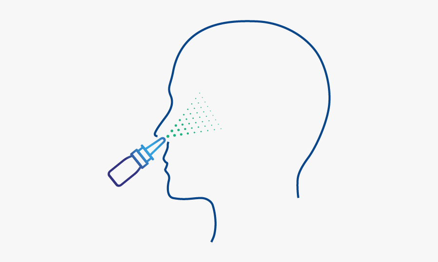 Icons-10, Transparent Clipart