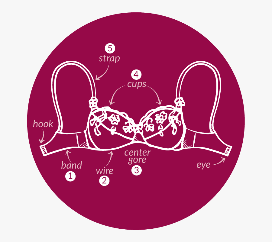 Parts - Circle, Transparent Clipart
