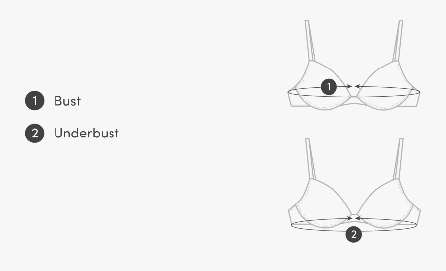 Line Art, Transparent Clipart