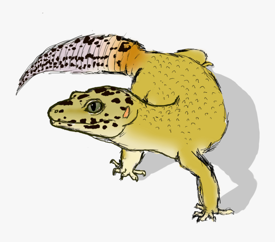 Drawing, Transparent Clipart