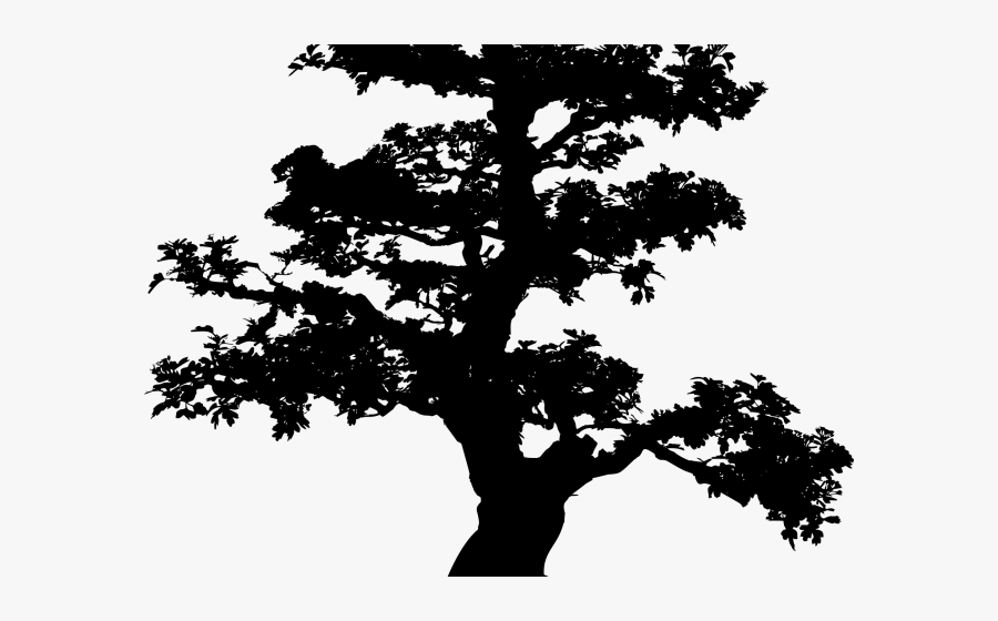 Bonsai Tree Clip Art, Transparent Clipart