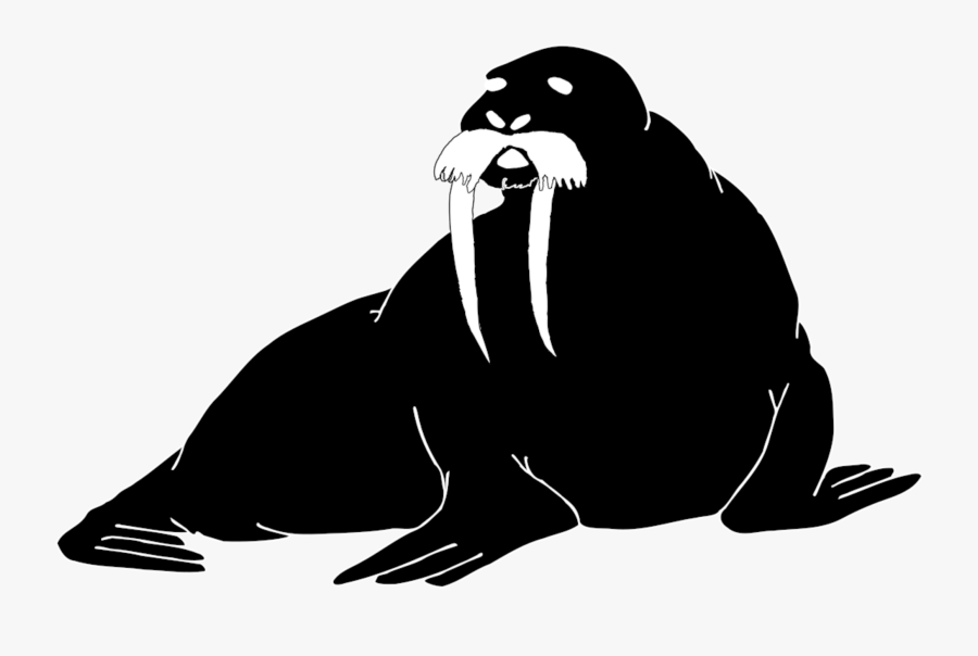 Walrus Clip Art, Transparent Clipart