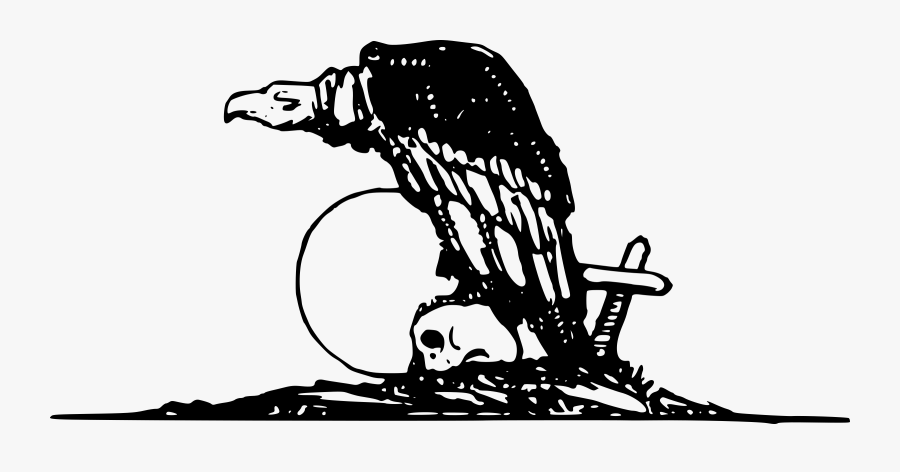 Vulture - Illustration, Transparent Clipart