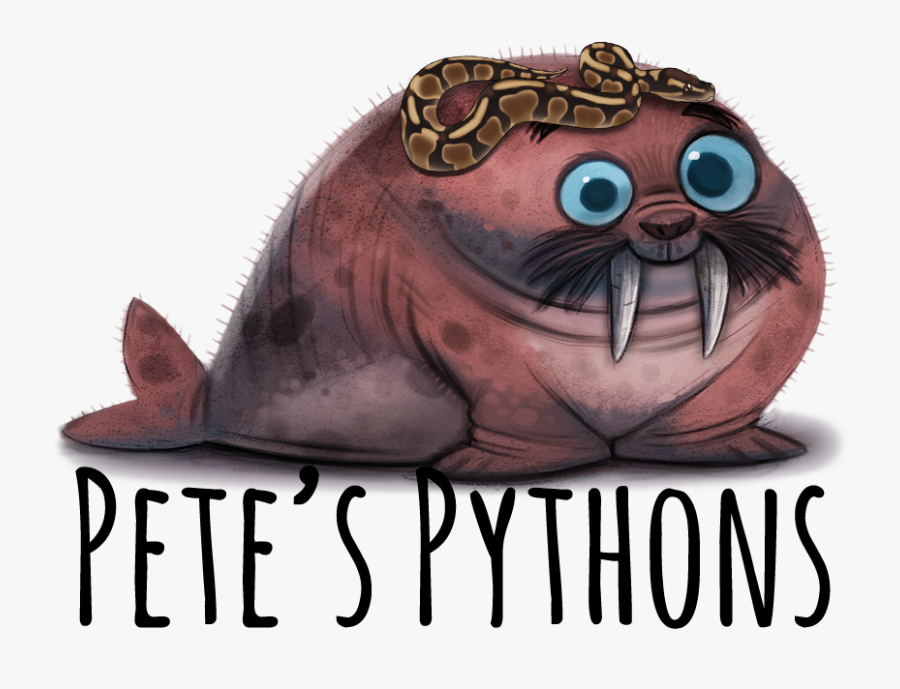 Transparent Ball Python Png - Cute Walrus Art, Transparent Clipart
