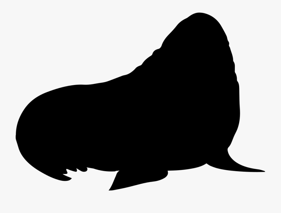 Walrus Mammal Silhouette - Rabbit Png Black, Transparent Clipart