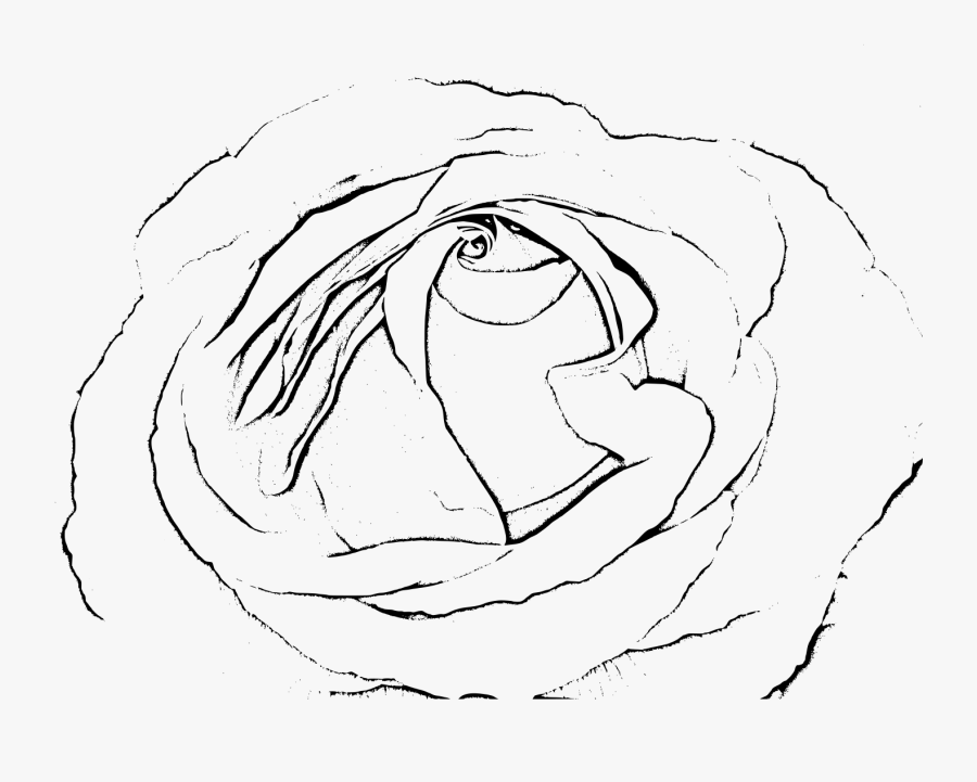 Rose Black & White Clip Arts - Rosa Png Preta E Branca, Transparent Clipart