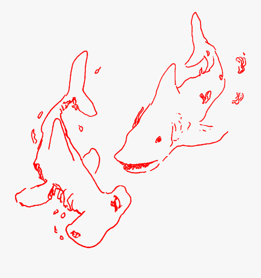 #aesthetic #art #sketch #doodle #shark #sharks #lineart, Transparent Clipart