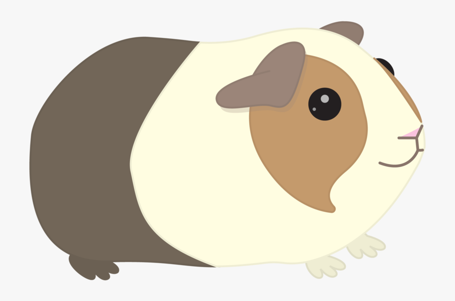 Transparent Contact Me Png, Transparent Clipart