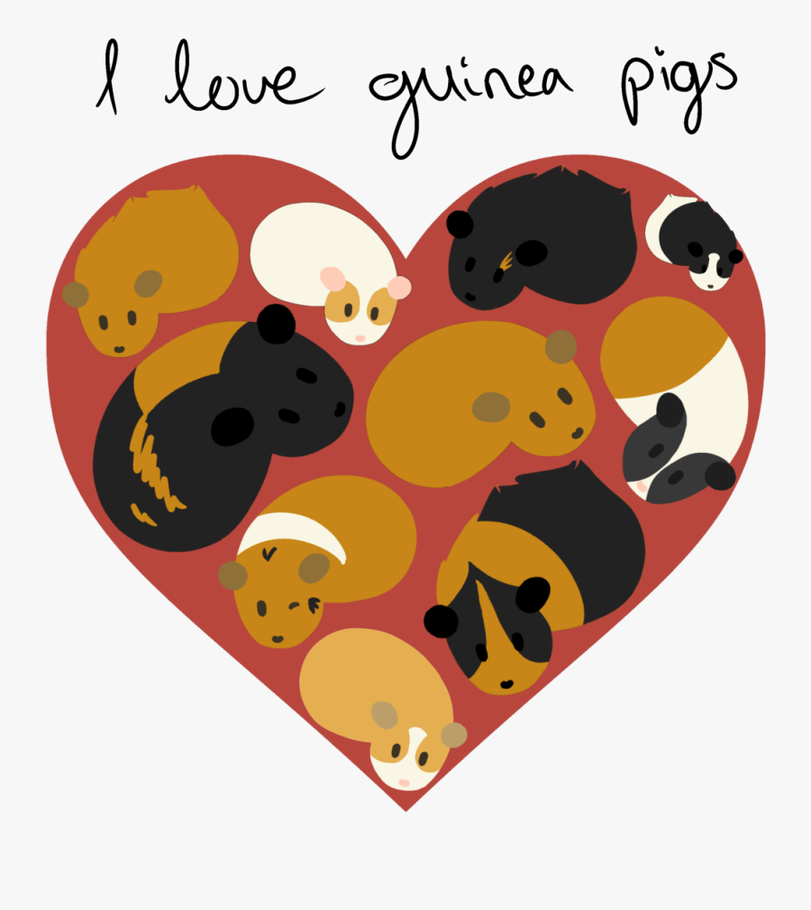 Love Guinea Pigs, Transparent Clipart