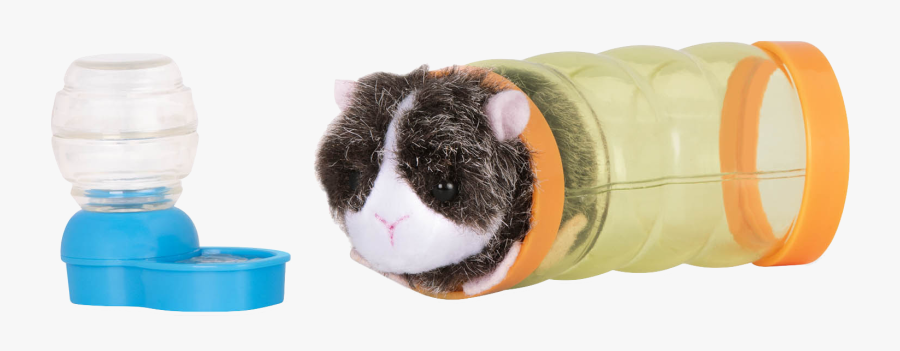 Guinea Pig In Exercise Tube - Guinea Pig, Transparent Clipart