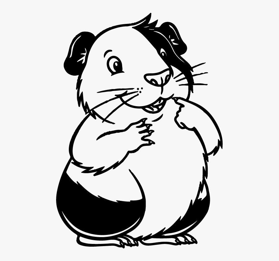 Vector Guinea Pig, Transparent Clipart