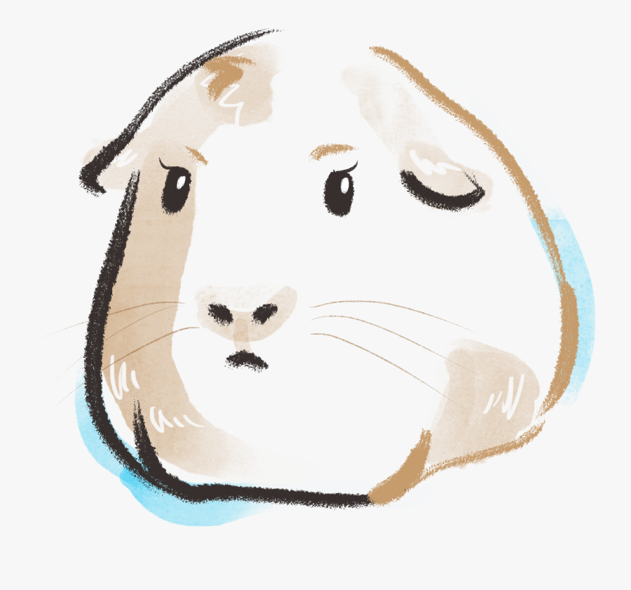 Cartoon, Transparent Clipart