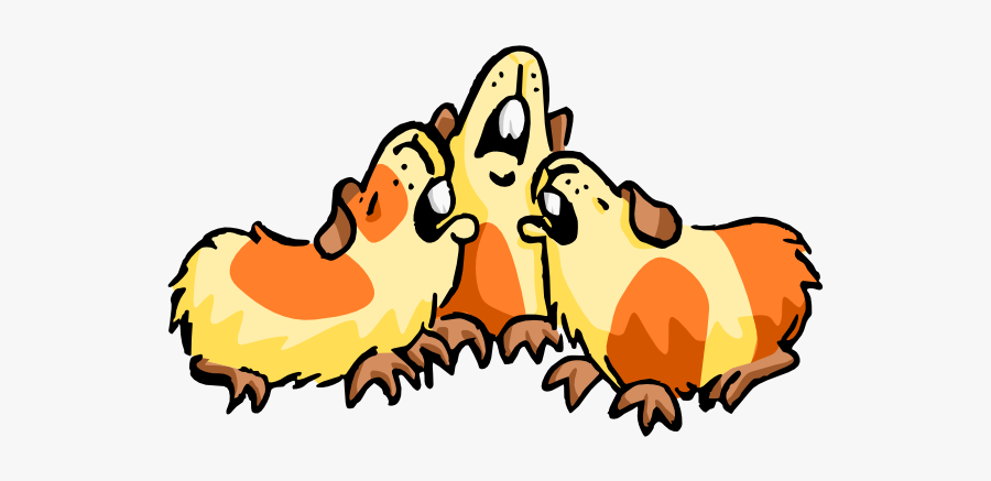 Three Piggies, Transparent Clipart