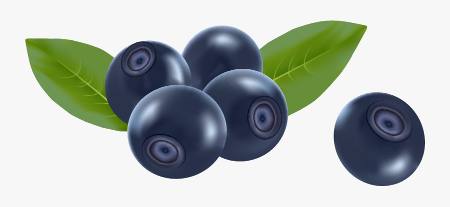 Fruits Vector, Transparent Clipart