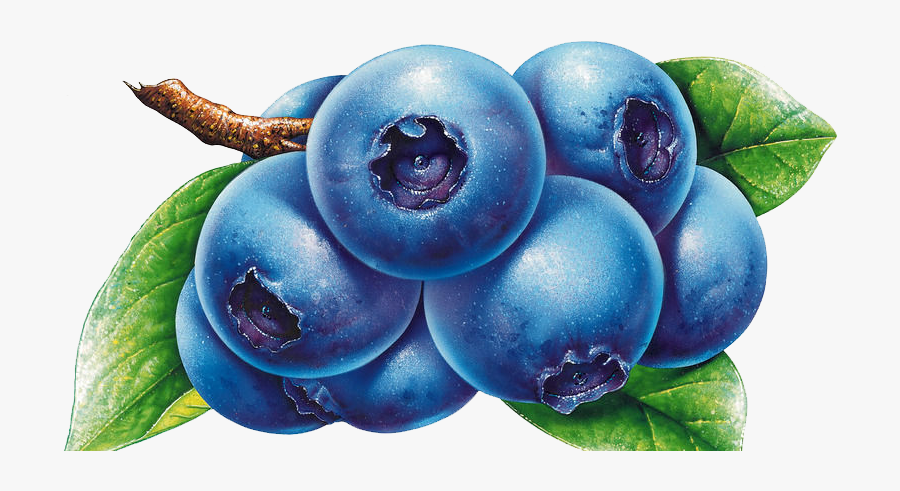 Grapes Clipart Prune Juice - Clip Art Blueberries, Transparent Clipart