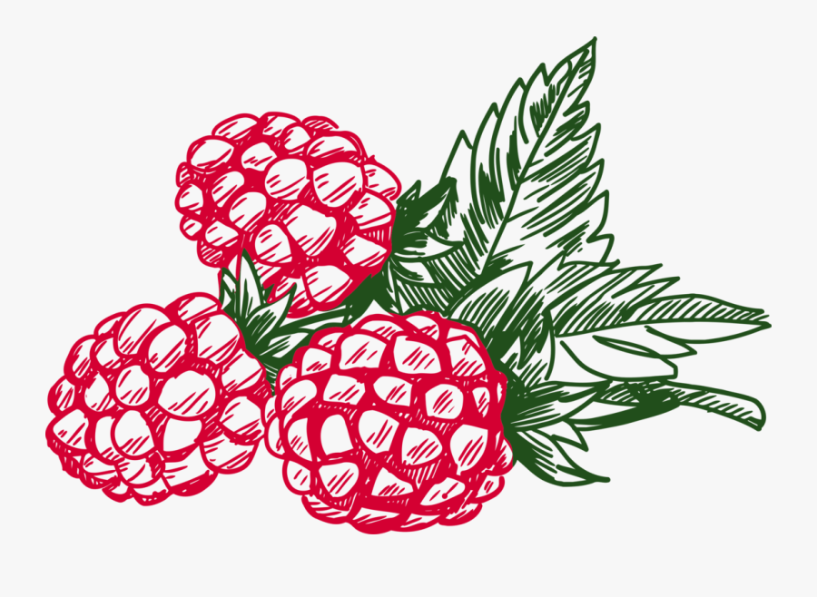 Petal,artwork,cut Flowers - Berries Clipart Black And White, Transparent Clipart